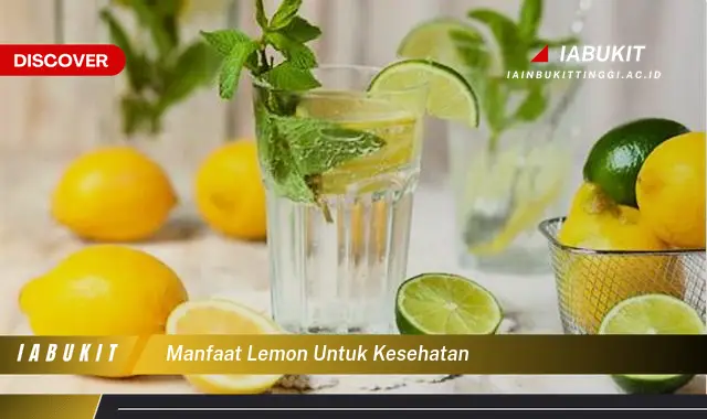 Temukan Manfaat Lemon Untuk Kesehatan Yang Wajib Kamu Ketahui Discover