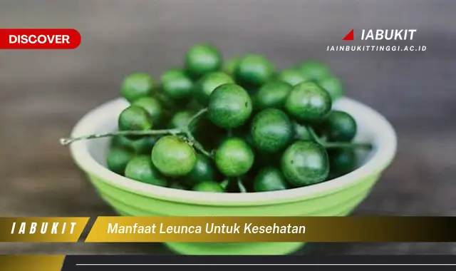 manfaat leunca untuk kesehatan