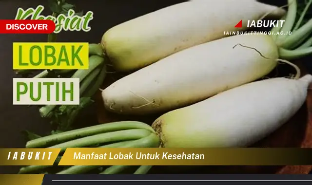 Banyak yang Belum Tahu, Inilah 7 Manfaat Lobak untuk Kesehatan yang Wajib Diketahui