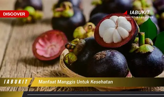 manfaat manggis untuk kesehatan