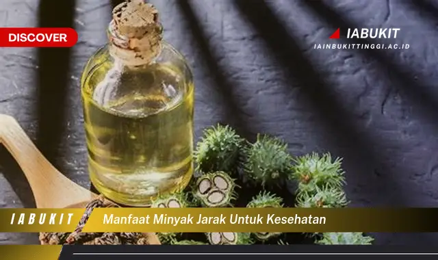 manfaat minyak jarak untuk kesehatan