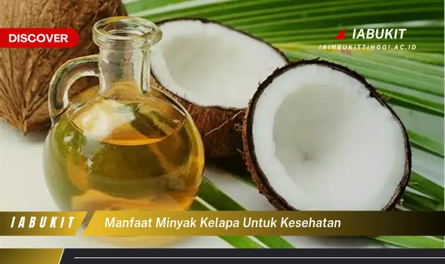 manfaat minyak kelapa untuk kesehatan