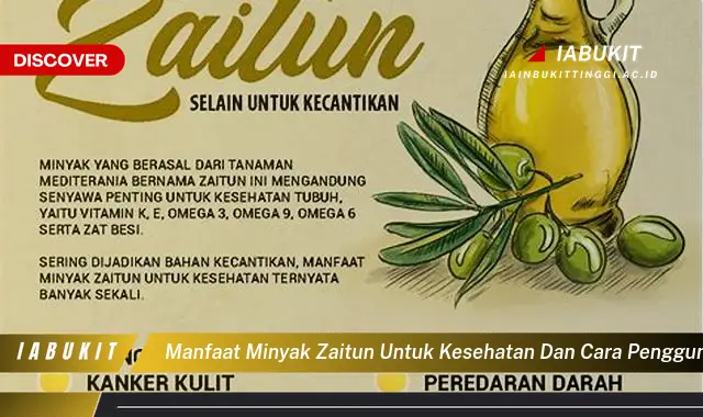 manfaat minyak zaitun untuk kesehatan dan cara penggunaannya manfaat minyak zaitun untuk kesehatan dan cara penggunaannya