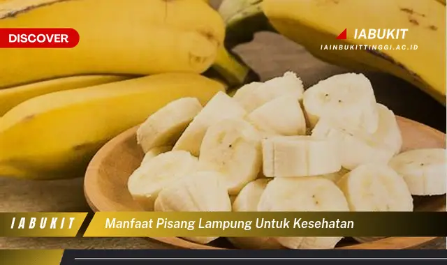 manfaat pisang lampung untuk kesehatan manfaat pisang lampung untuk kesehatan