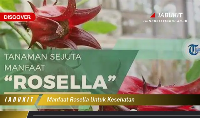 manfaat rosella untuk kesehatan