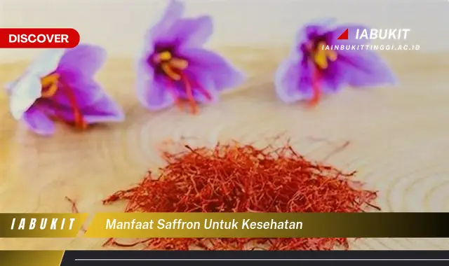 Ketahui Manfaat Saffron Untuk Kesehatan Yang Jarang Diketahui