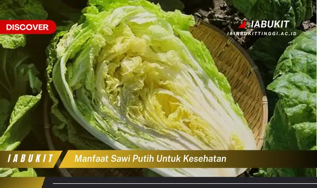 manfaat sawi putih untuk kesehatan