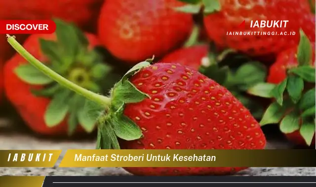 manfaat stroberi untuk kesehatan