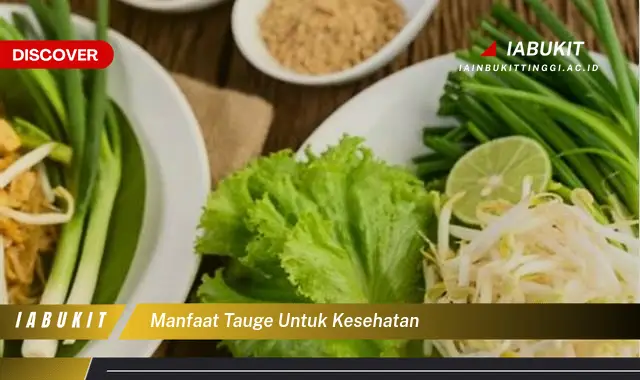 manfaat tauge untuk kesehatan