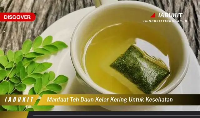 manfaat teh daun kelor kering untuk kesehatan