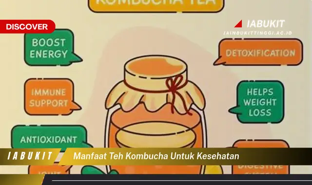 manfaat teh kombucha untuk kesehatan