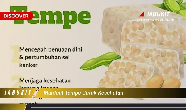 manfaat tempe untuk kesehatan manfaat tempe untuk kesehatan