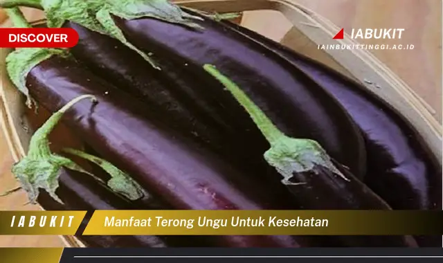 Ketahui 7 Manfaat Terong Ungu untuk Kesehatan yang Bikin Kamu Penasaran ...