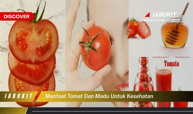 Temukan 7 Manfaat Tomat dan Madu untuk Kesehatan yang Jarang Diketahui