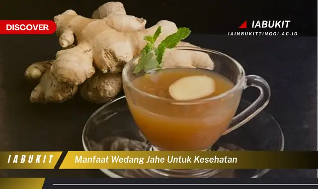 manfaat wedang jahe untuk kesehatan