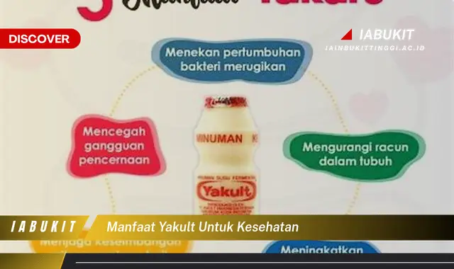 manfaat yakult untuk kesehatan