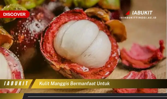 kulit manggis bermanfaat untuk