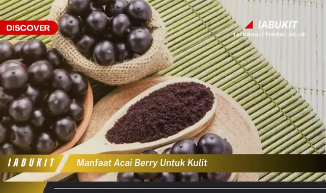 manfaat acai berry untuk kulit