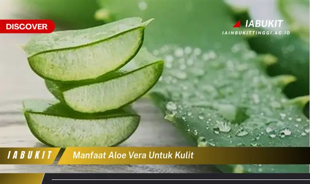 manfaat aloe vera untuk kulit