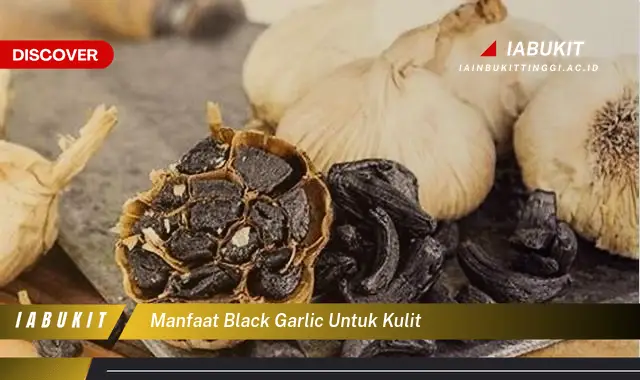 manfaat black garlic untuk kulit manfaat black garlic untuk kulit
