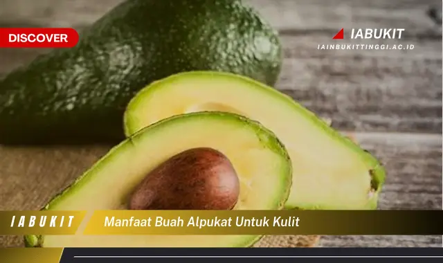 manfaat buah alpukat untuk kulit