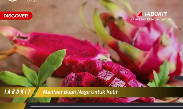 manfaat buah naga untuk kulit