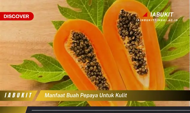 manfaat buah pepaya untuk kulit