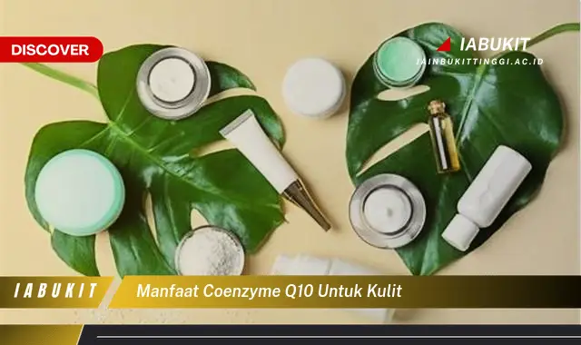 manfaat coenzyme q10 untuk kulit