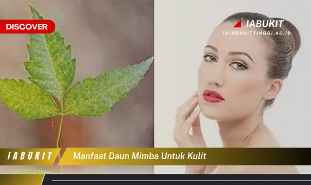 manfaat daun mimba untuk kulit