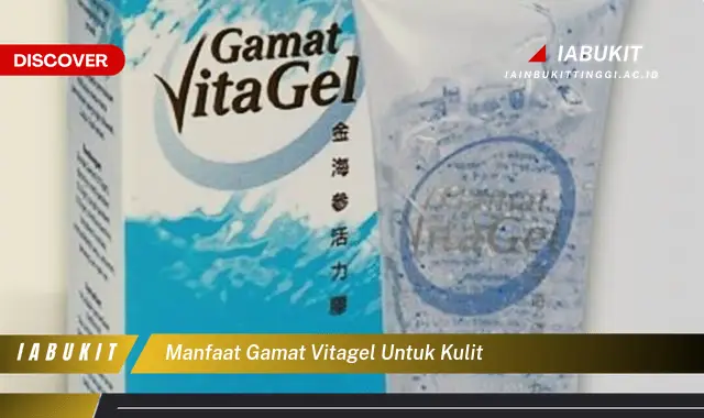 manfaat gamat vitagel untuk kulit