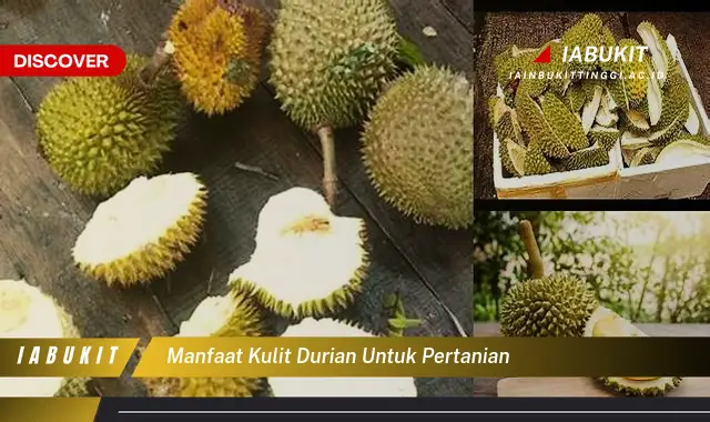 Temukan 7 Manfaat Kulit Durian untuk Pertanian, Kamu Harus Tahu!
