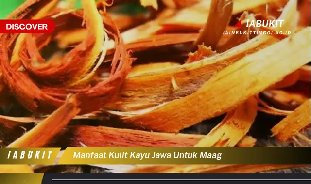 manfaat kulit kayu jawa untuk maag