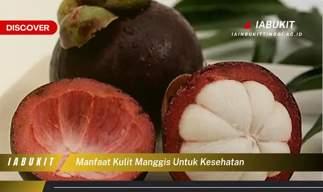 manfaat kulit manggis untuk kesehatan