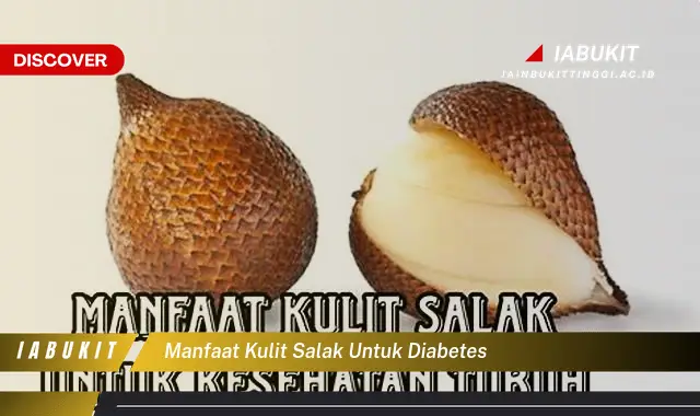 manfaat kulit salak untuk diabetes