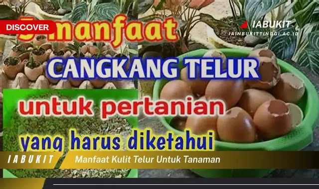 Temukan 7 Manfaat Kulit Telur untuk Tanaman yang Jarang Diketahui, Bikin Kamu Penasaran!