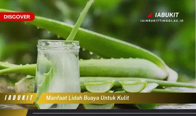 manfaat lidah buaya untuk kulit