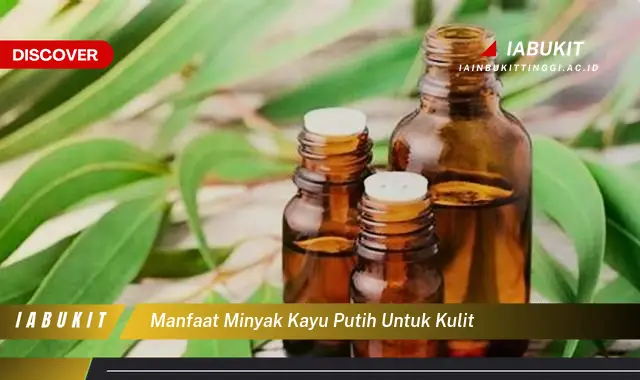 manfaat minyak kayu putih untuk kulit