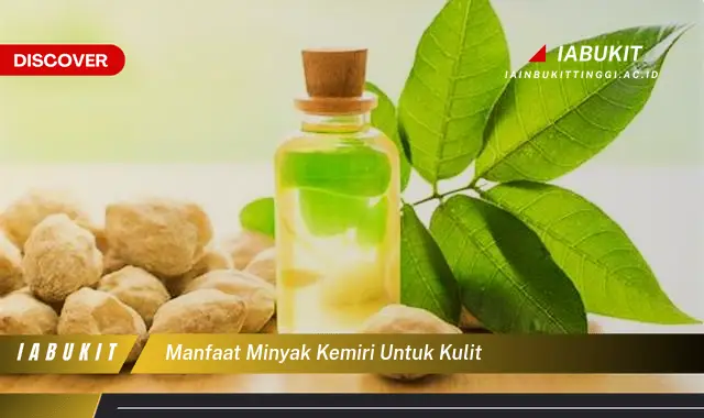 Temukan 7 Manfaat Minyak Kemiri Untuk Kulit yang Jarang Diketahui