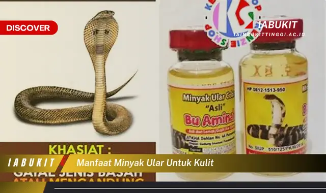 manfaat minyak ular untuk kulit