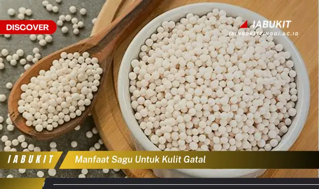 manfaat sagu untuk kulit gatal manfaat sagu untuk kulit gatal