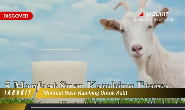 manfaat susu kambing untuk kulit