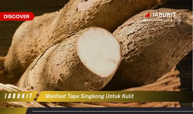 manfaat tape singkong untuk kulit