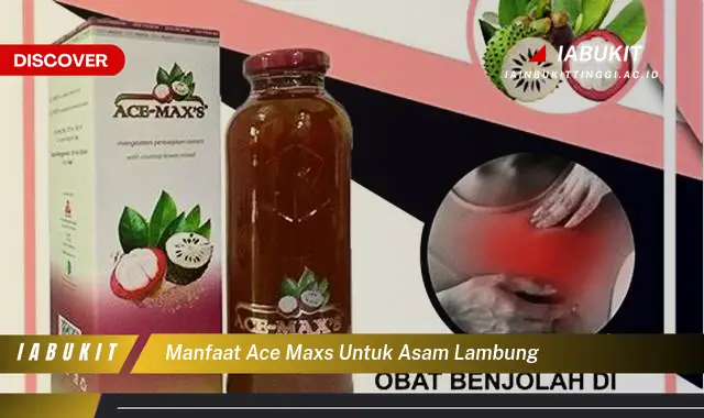 manfaat ace maxs untuk asam lambung