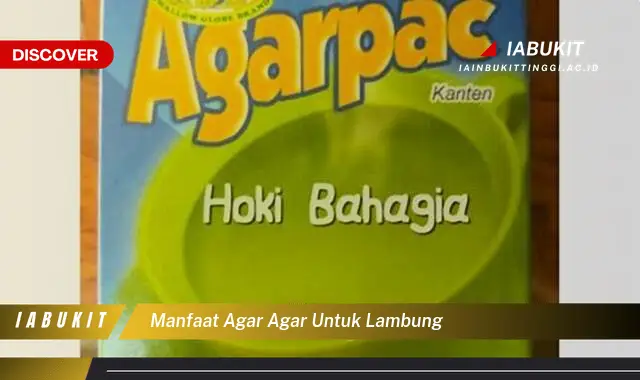 manfaat agar agar untuk lambung
