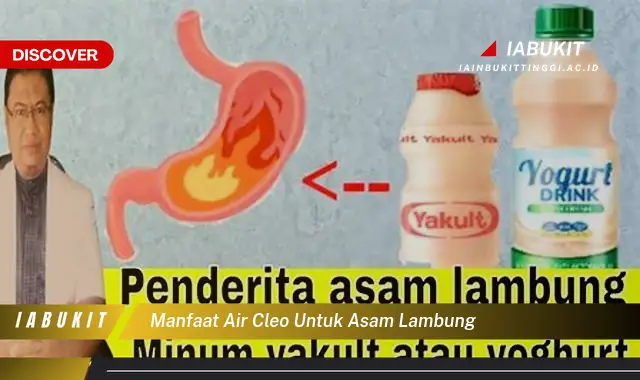 manfaat air cleo untuk asam lambung