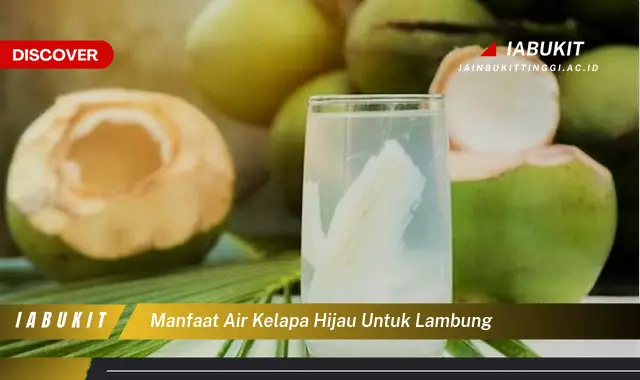 Temukan 7 Manfaat Air Kelapa Hijau untuk Lambung, Bikin Kamu Penasaran!