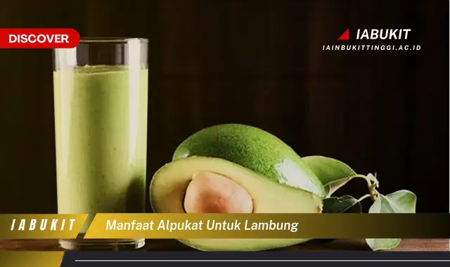 manfaat alpukat untuk lambung