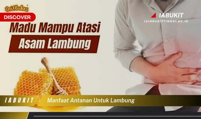 manfaat antanan untuk lambung