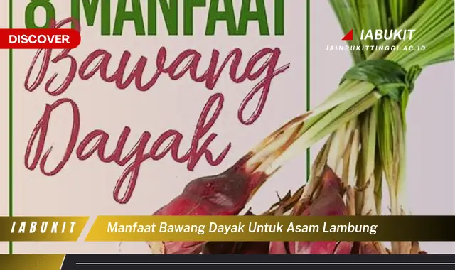 manfaat bawang dayak untuk asam lambung