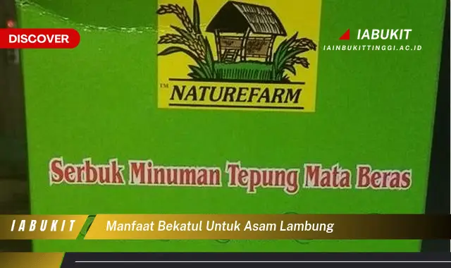 manfaat bekatul untuk asam lambung